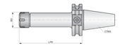 69871.30AD-CCM.ER16.100
