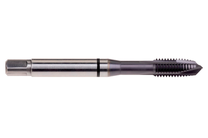 E817M6